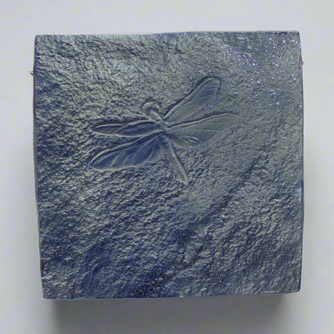 Dragonfly Petroglyph No. 1231