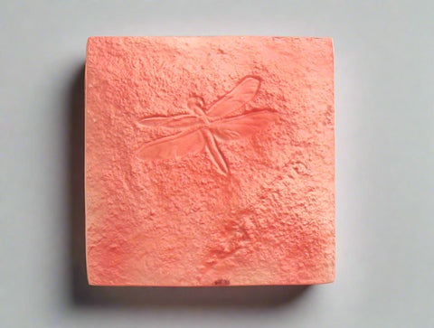 Dragonfly Petroglyph No. 1276