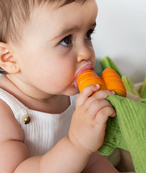 Cathy the Carrot Mini Doudou Teether