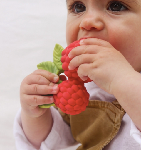 Valery the Raspberry Teether Toy