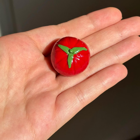 Tomato Magnet